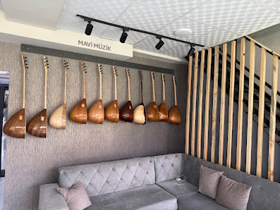 Mavi Müzik showroomunda sergilenen bağlamalar
